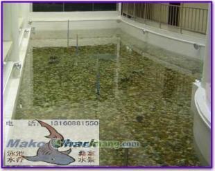 供应桂林专业鱼池工程推荐玛鲨鱼池设备_纺织皮革_世界工厂网中国产品信息库